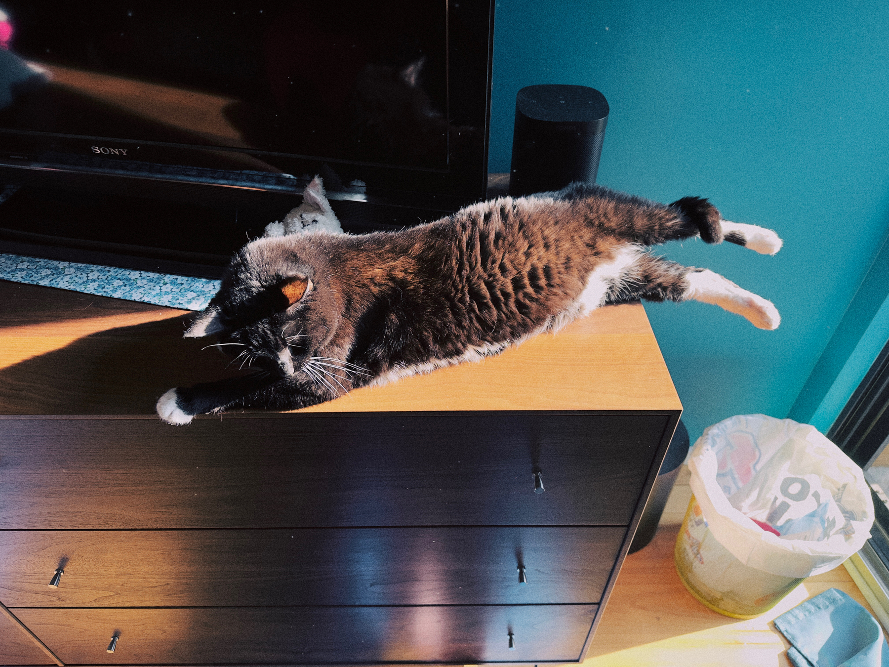 A cat laying on a set of drawers. She is stretched out with her hind legs hanging off the edge of the furniture. Her tail is wrapped around her leg. 